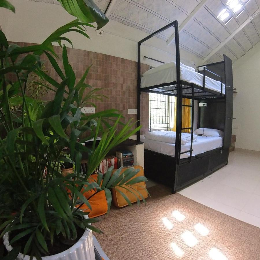 Benomadic Eco Hostel, Madikeri, Coorg Suntikoppa Екстер'єр фото