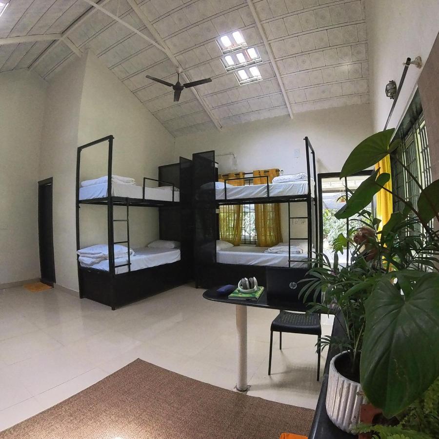 Benomadic Eco Hostel, Madikeri, Coorg Suntikoppa Екстер'єр фото