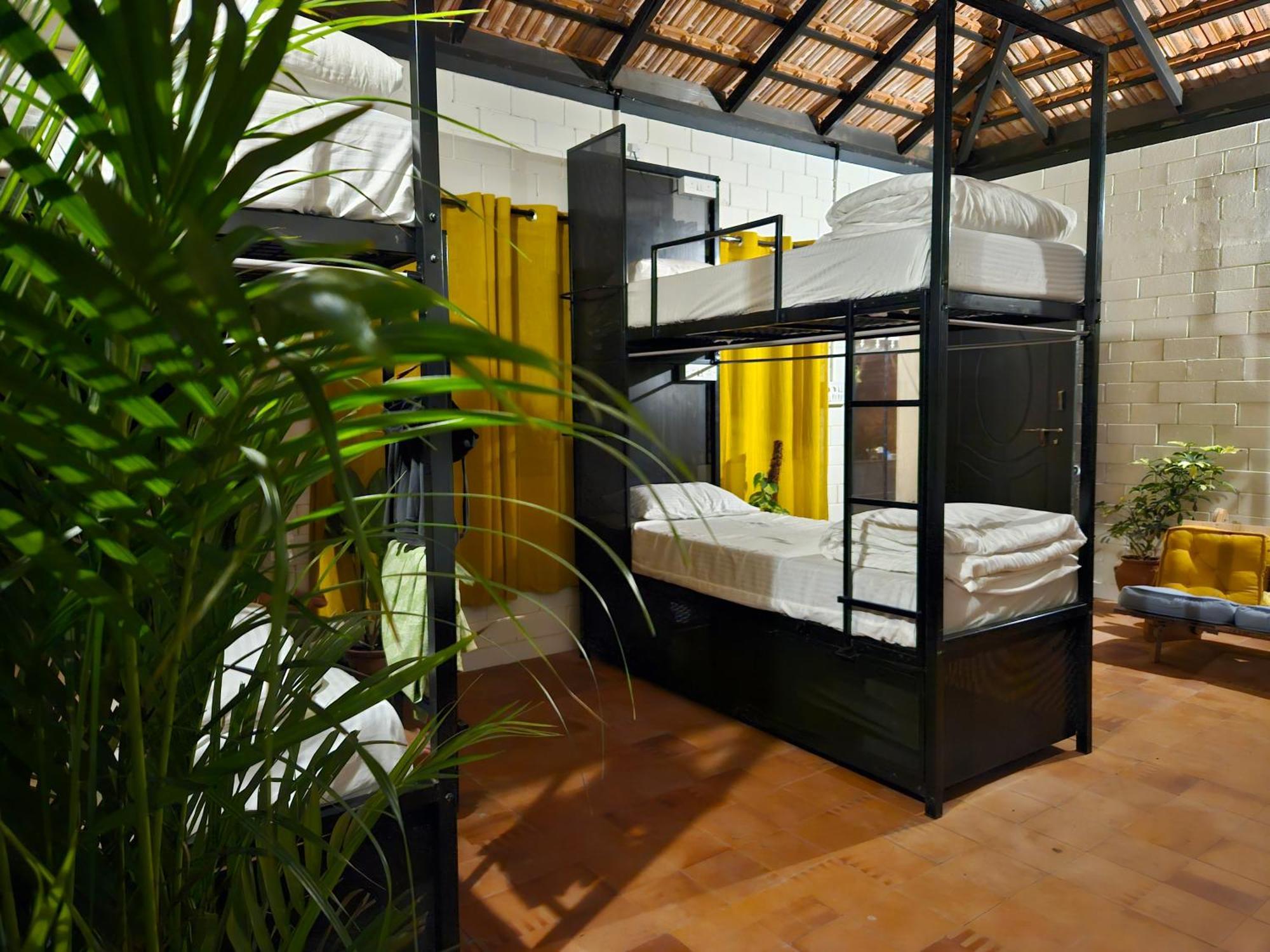 Benomadic Eco Hostel, Madikeri, Coorg Suntikoppa Екстер'єр фото